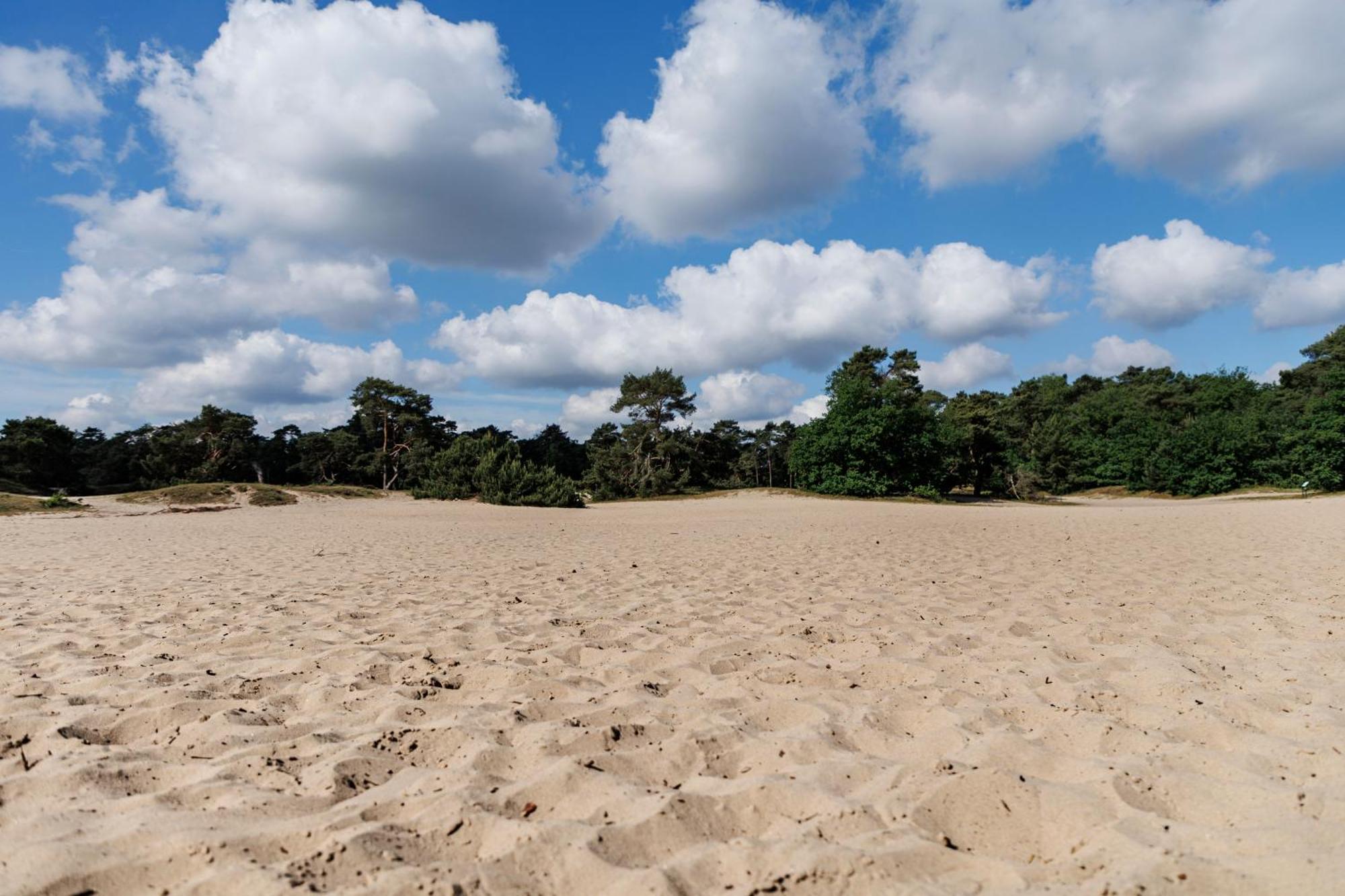 'T Eekhoornnest Villa Soest Ngoại thất bức ảnh